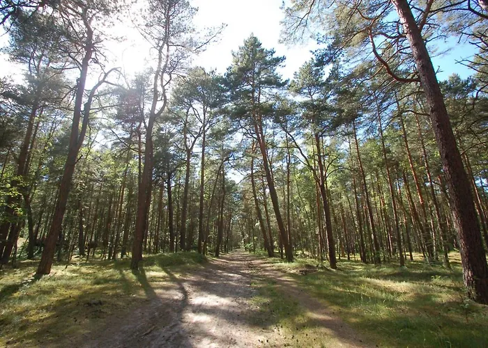 Słoneczne Tarasy 2 - Amber